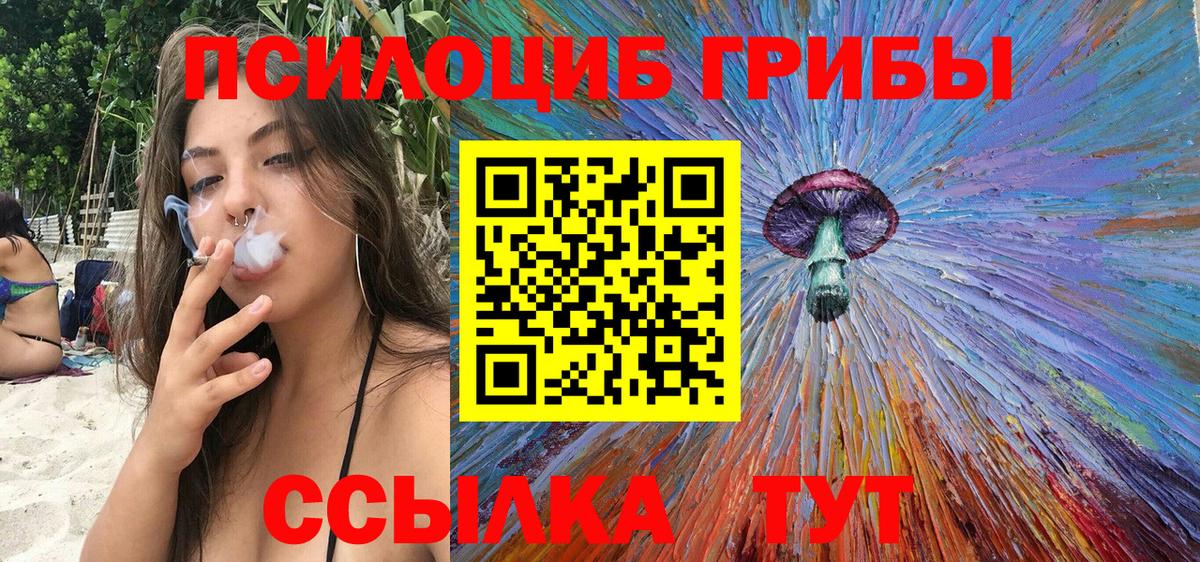 Псилоцибиновые грибы Psilocybe  Вход с VPN  Нижнекамск 